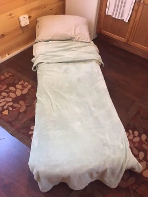 Guest house Tiny House Toronto Hotel